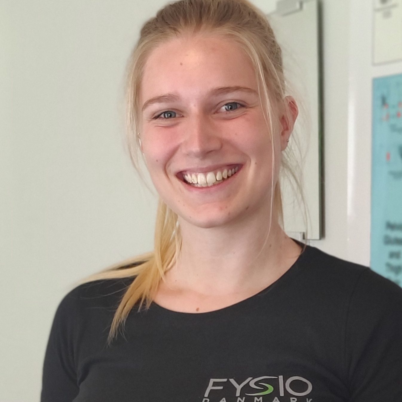 Velkommen Til FysioDanmark Aabenraa Find Din Fysioterapeut Her 